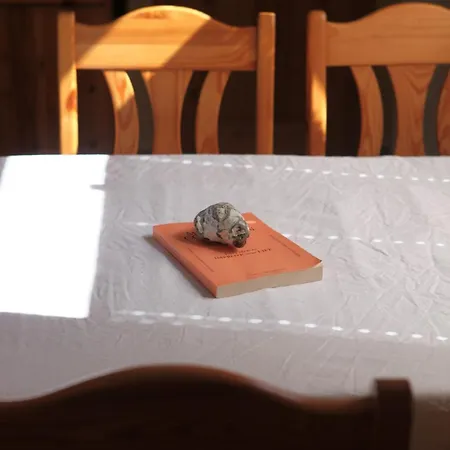 Hébergement de vacances Luett Hus Ruegen, In Strandnaehe Garz (Rugen)